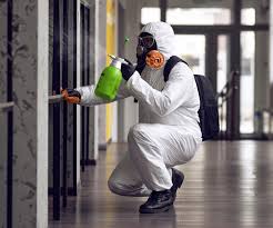 Edgewood, TX Mold Removal Company